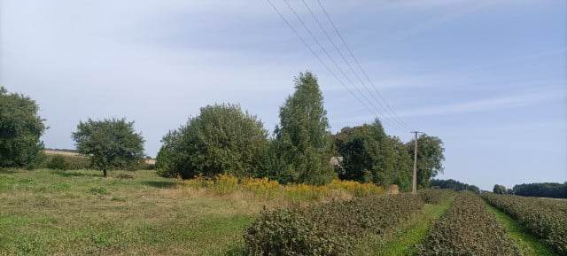 Siedlisko w <b>Łuszczowie Drugim (Wólka)</b>, piękny teren Parku Krajobrazowego. 0,5 ha, zabudowania – obora, kuchnia letnia, garaż, stodoła, dom ocieplony; działka 39x129 m