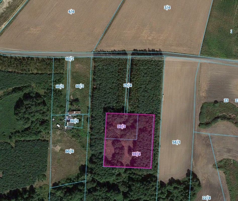 KAMIEŃCZYK SIELSKO I ANIELSKO