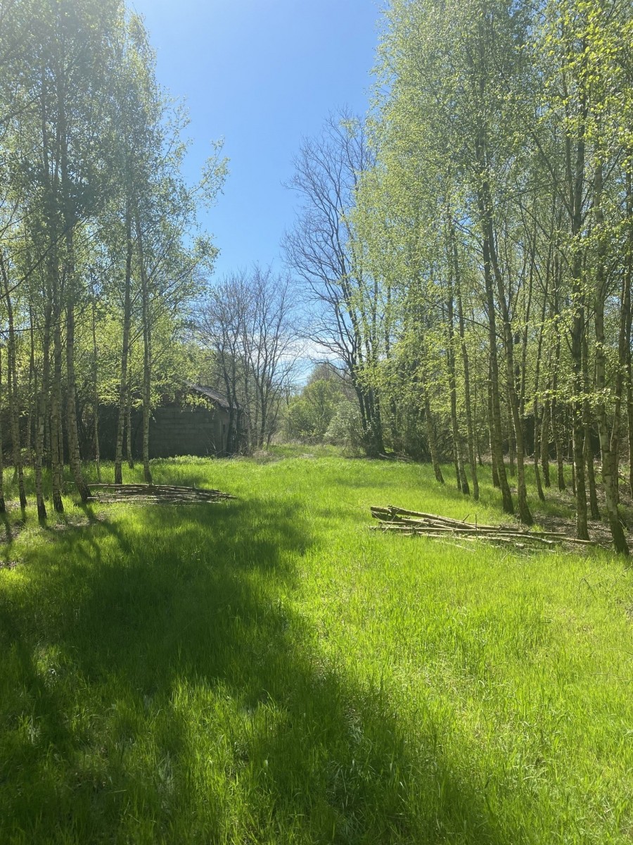 KAMIEŃCZYK SIELSKO I ANIELSKO