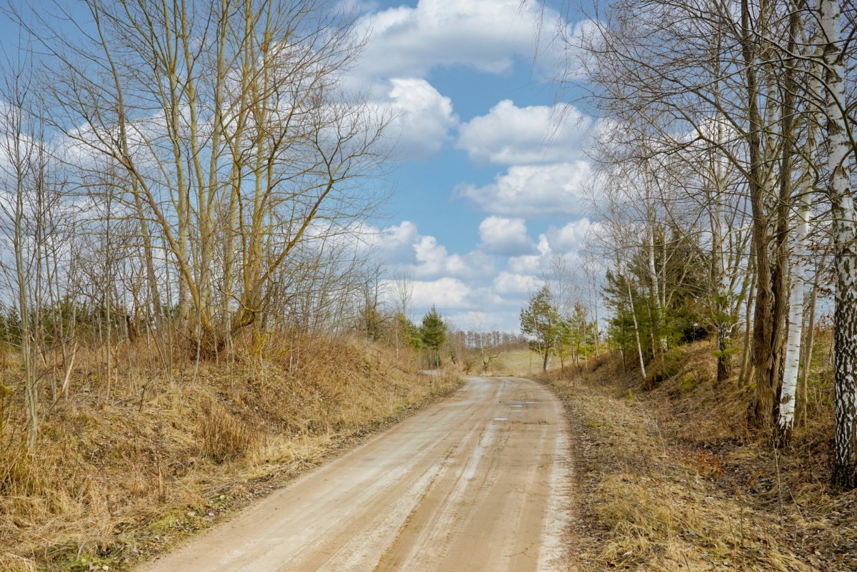 Wzgórze z linią brzegową na Mazurach.