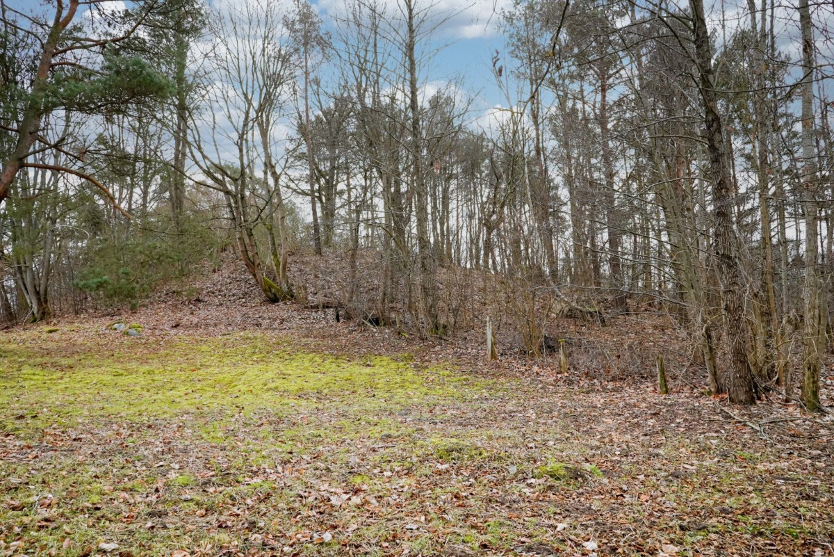 Wzgórze z linią brzegową na Mazurach.