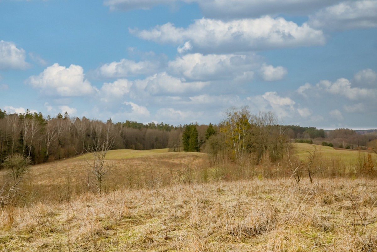Wzgórze z widokiem na mazurskie jezioro