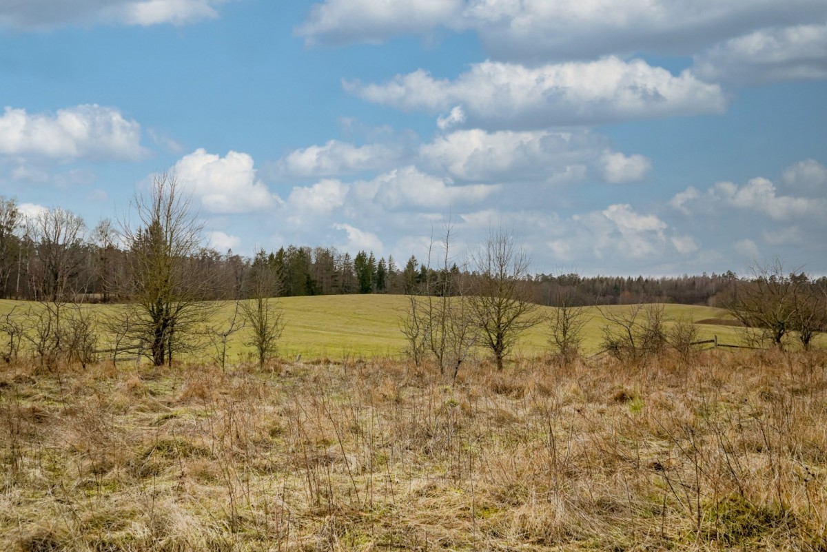 Wzgórze z widokiem na mazurskie jezioro