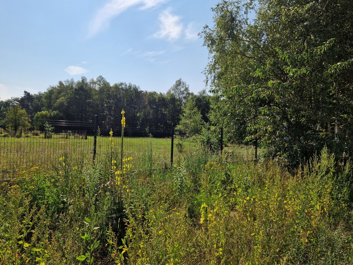 Pod lasem działka z rozpoczętą budową domu